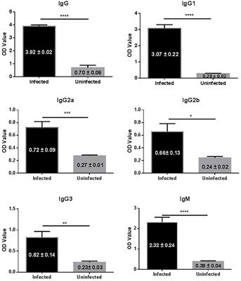 Echinococcus granulosus Infection Results in an Increase in Eisenbergiella and Parabacteroides Genera in the Gut of Mice